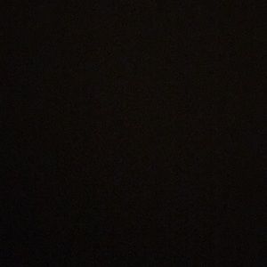 Meet your Posher, Bailey